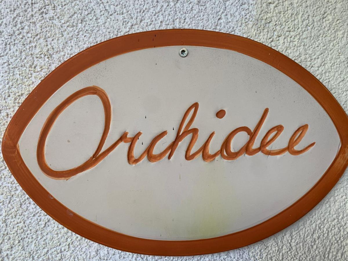Apartment Appartement Holiday Maishofen